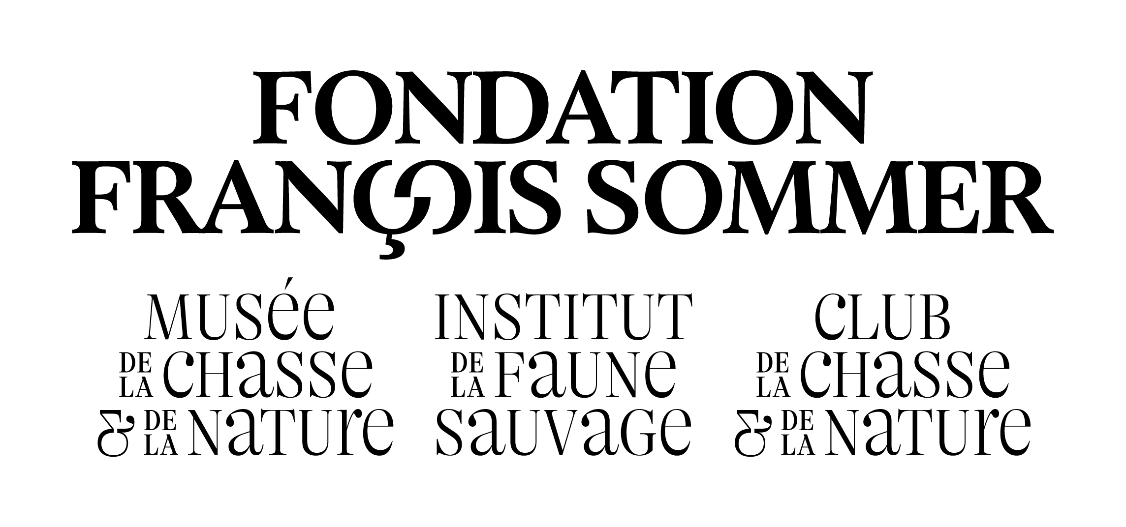 Logo FONDATION FRANCOIS SOMMER