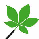 Logo FONDATION RAMBAM (MAPA)