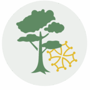 Logo FORET EVOLUTION