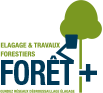 Logo FORET PLUS
