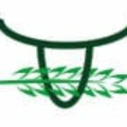 Logo FRANCE ALIPLUS
