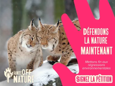 Logo FRANCE NATURE ENVIRONNEMENT (FNE)