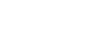 Logo FREDDY LEVY