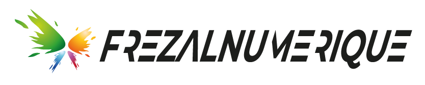 Logo FREZAL NUMERIQUE DIFFUSION