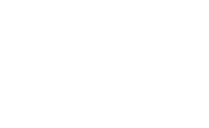 Logo FRIDA