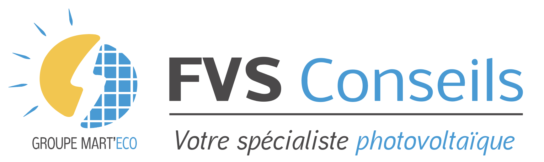 Logo FVS CONSEILS