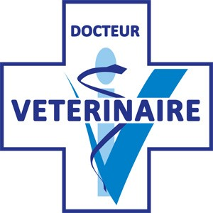 Logo GAMBETTA MACON