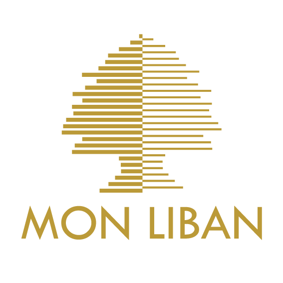 Logo GAMSS (MON LIBAN)
