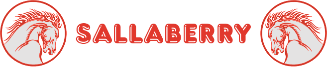 Logo GARAGE SALLABERRY