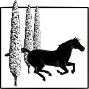 Logo GE PROVENCE ET LANGUEDOC