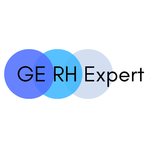 Logo GE RH EXPERT