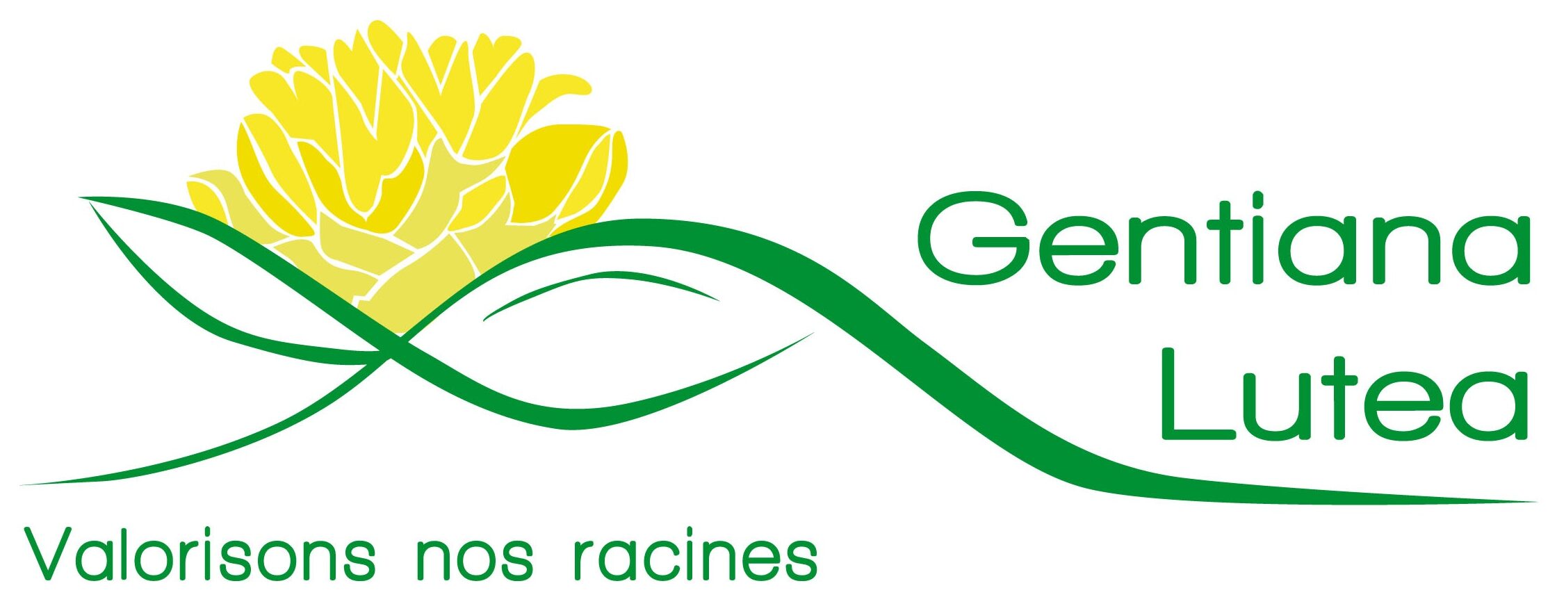 Logo GENTIANE