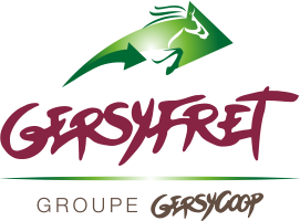 Logo GERSYFRET