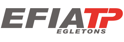 Logo GEST ECOL FORM INITIAL ALTER METIE TP (AGEFIA TP)