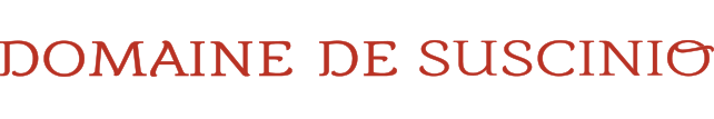 Logo GESTION DU DOMAINE DE SUSCINIO (G.D.S.)