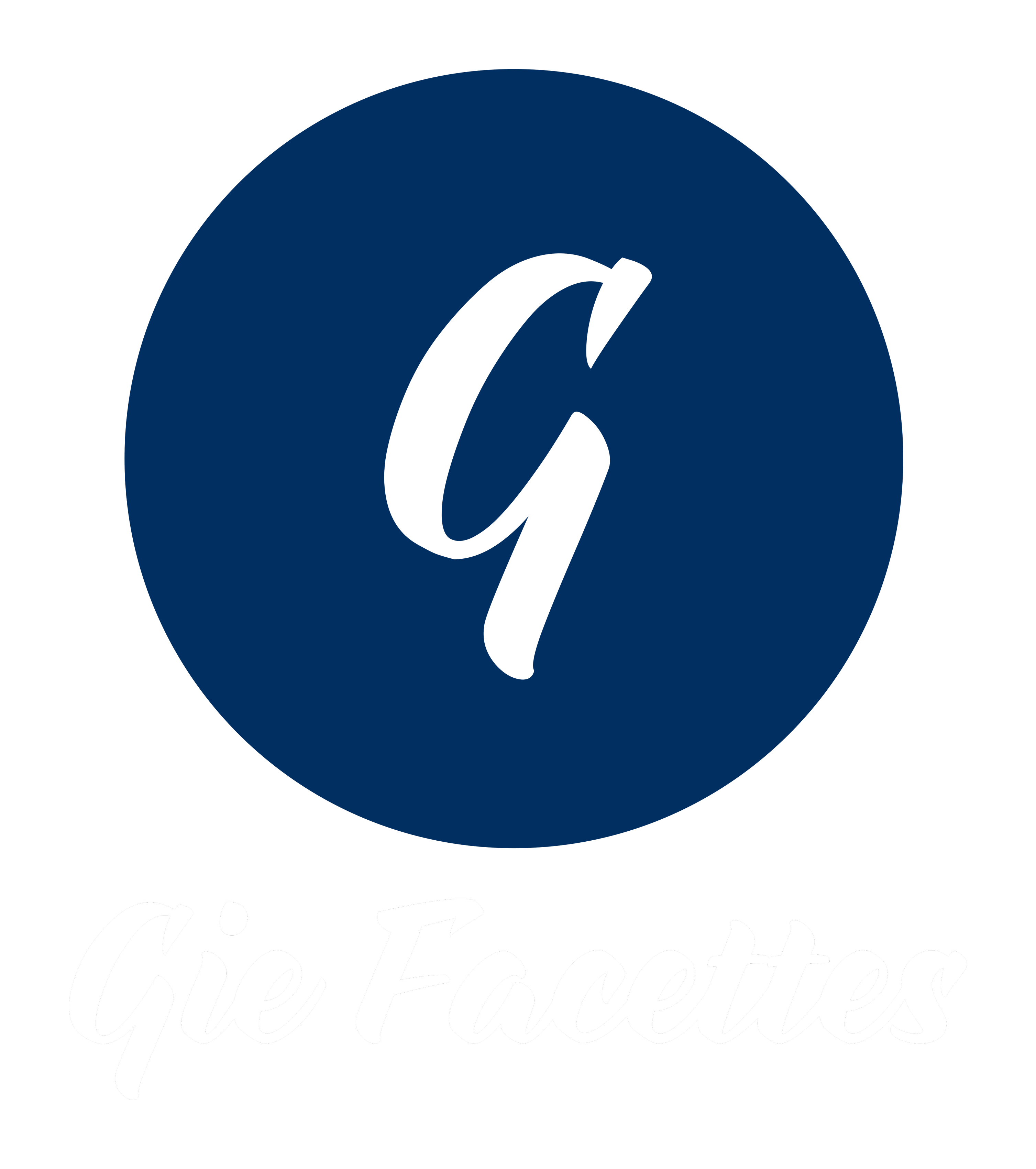 Logo GIE FACETTES