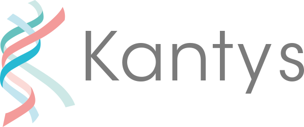 Logo GIE KANTYS SERVICES