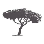 Logo GINKGO (VILLA METIS)
