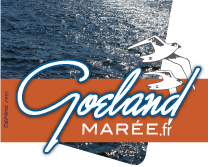 Logo GOELAND MAREE