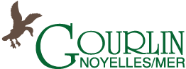 Logo GOURLIN COMBUSTIBLES