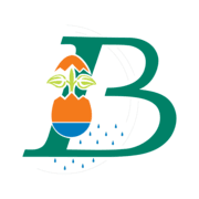 Logo GRAINES BAUMAUX