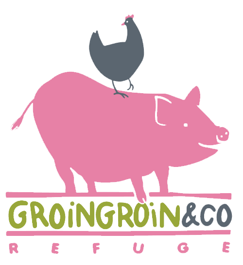 Logo GROINGROIN