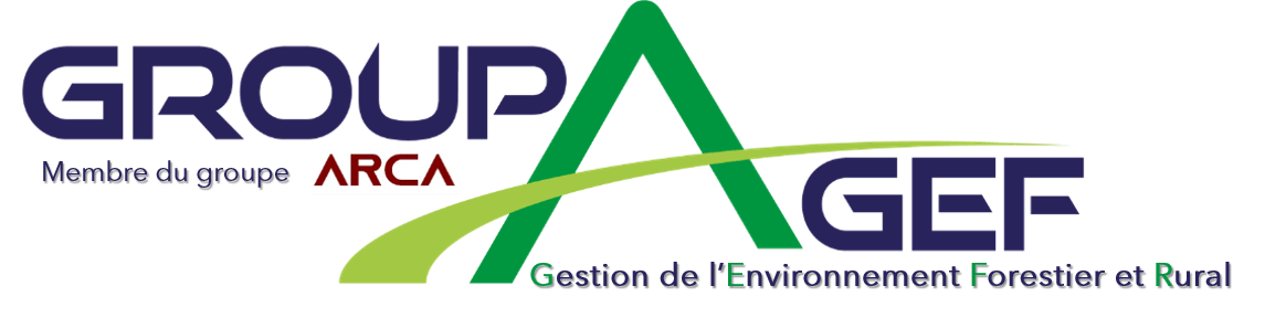 Logo GROUPAGEF (GROUPAGEF)