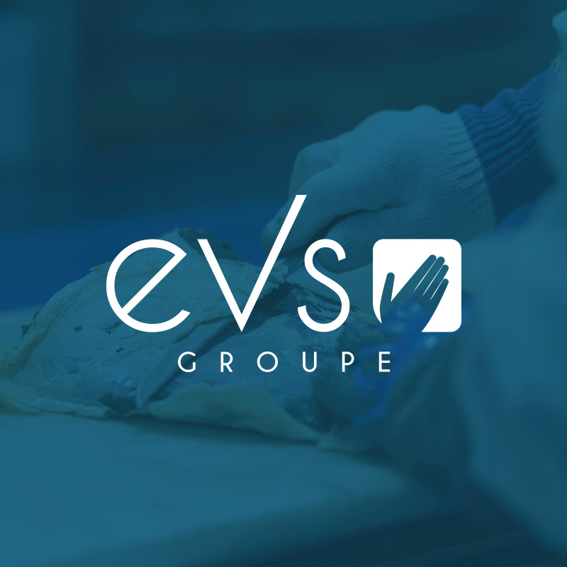 Logo GROUPE E.V.S