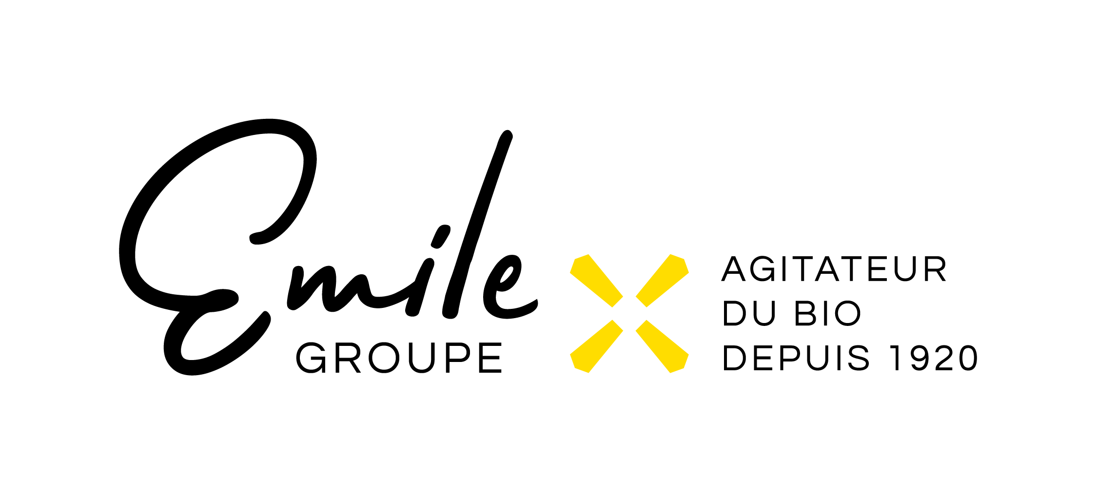 Logo GROUPE EMILE (LE MOULIN D'EMILE)