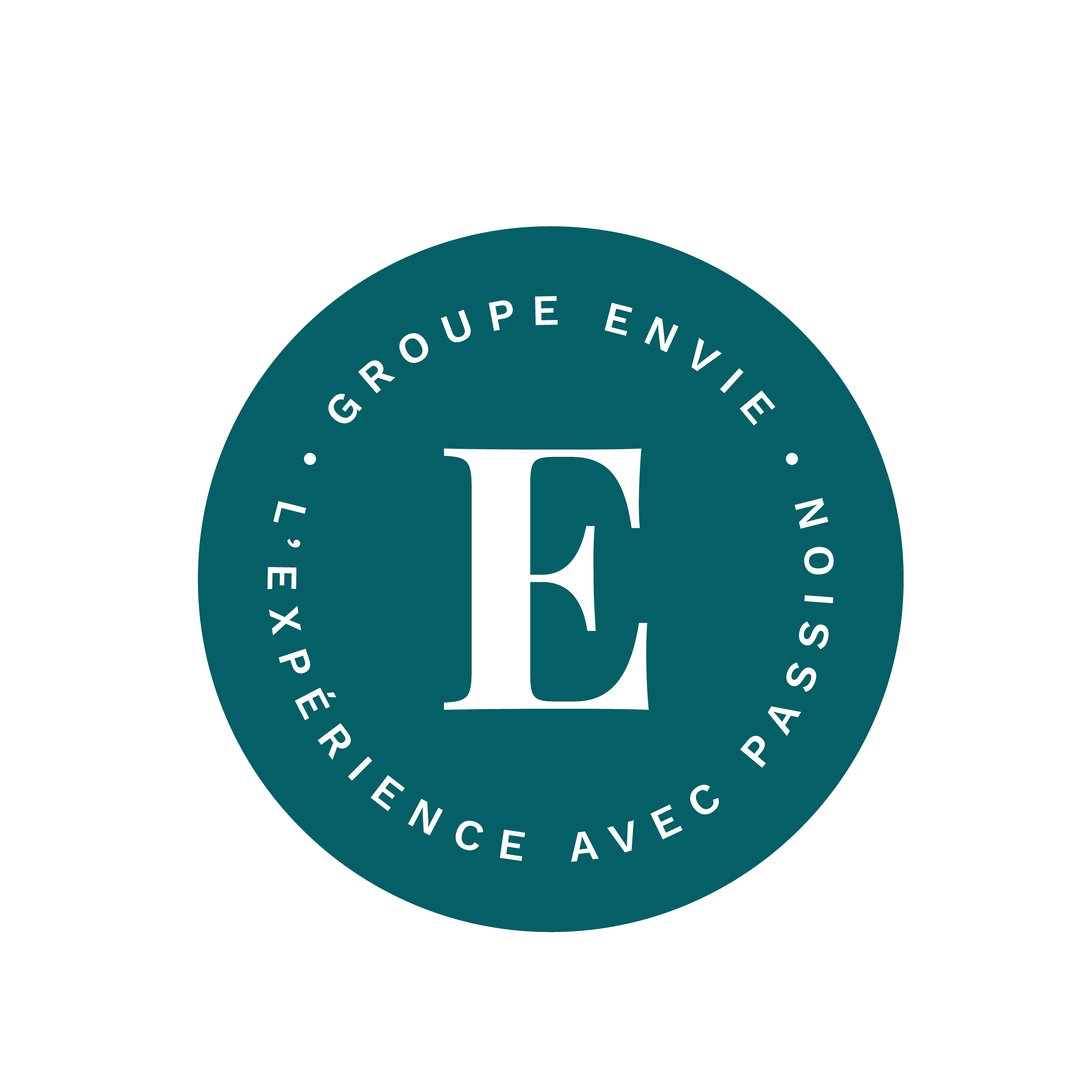 Logo GROUPE ENVIE