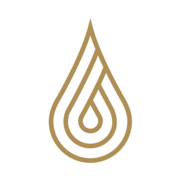 Logo GROUPE RAULIC