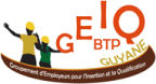 Logo GROUPEMENT D EMPLOYEURS POUR L INSERTION ET LA QUALIFICATION DU BTP DE LA GUYANE (GEIQ BTP GUYANE)