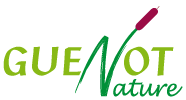 Logo GUENOT