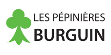 Logo GWENDAL BURGUIN