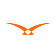 Logo HAWK EYE INNOVATION LTD