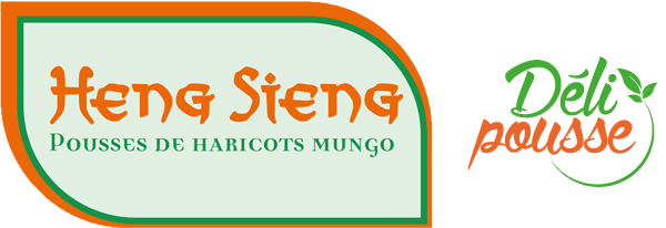 Logo HENG SIENG
