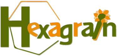 Logo HEXAGRAIN