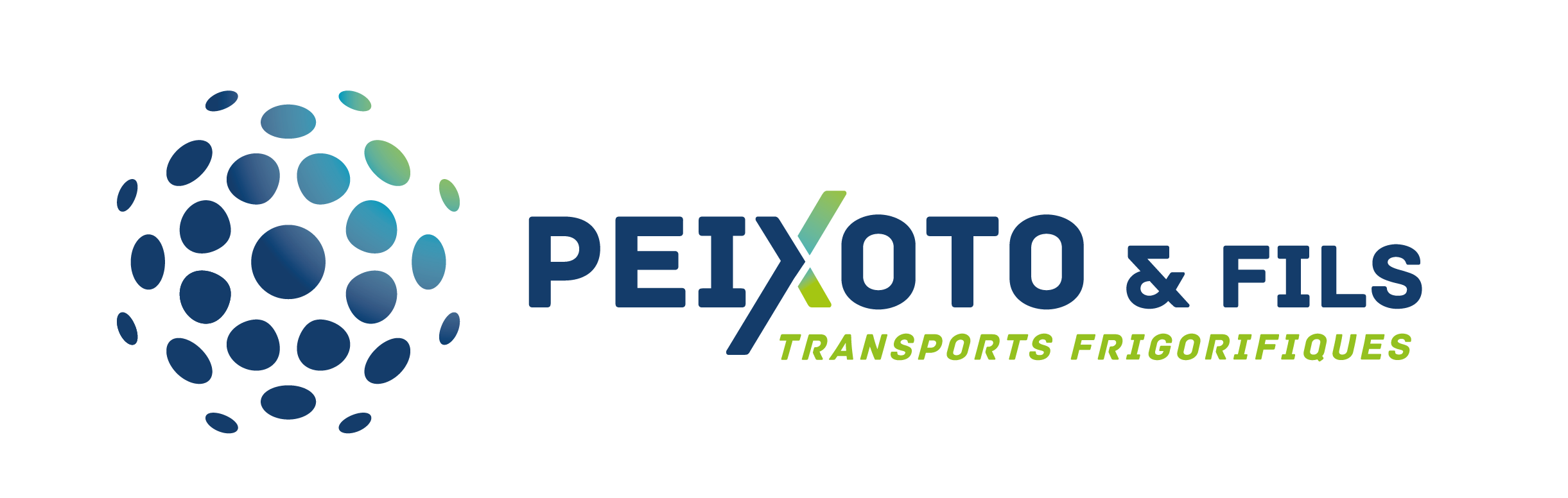 Logo HOLDING PEIXOTO