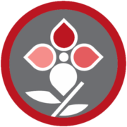 Logo HOPITAL DE BREIL SUR ROYA