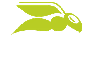 Logo HORNETSECURITY
