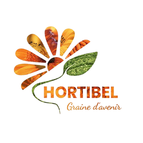 Logo HORTIBEL NEGOCE