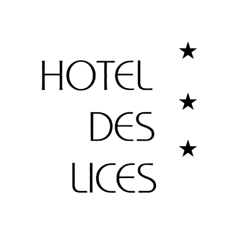 Logo HOTEL DES LICES