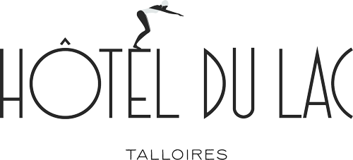 Logo HOTEL DU LAC