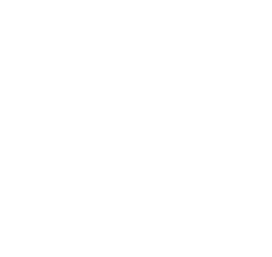 Logo HOTEL MEURICE
