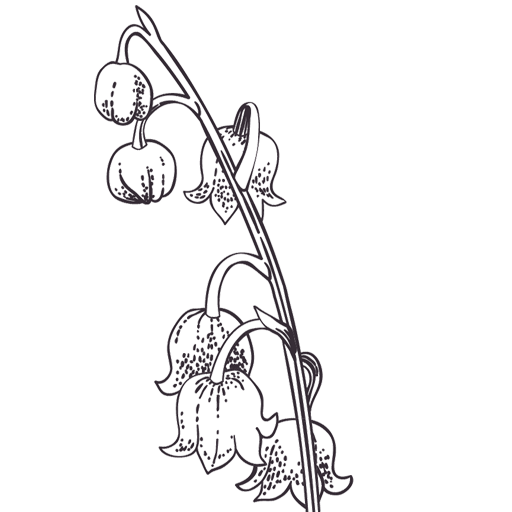 Logo HOTEL MUGUET