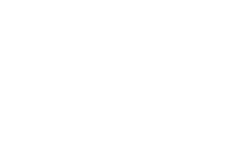 Logo HUGONOE SECURITE (PRO EVENT 11)
