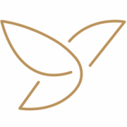 Logo HUMBIRD