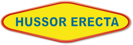 Logo HUSSOR ERECTA SOC