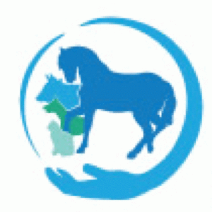 Logo I.F.O.A.