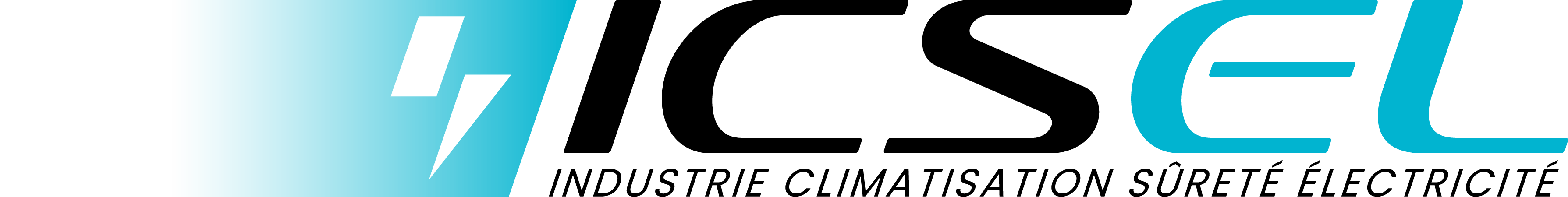 Logo ICSEL